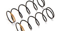 Shock Spring (Gold, 68mm, 79.6gf, 2pcs) - Model HPI109810 - HPI Racing