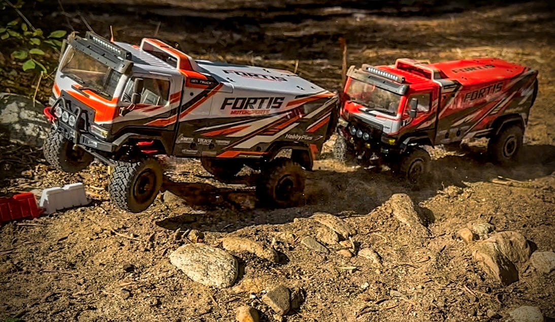 1/18 Fortis DKR4 RTR, Brushed, Choose Color