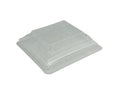 Wing, Rear, Speck B
