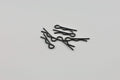 Large Body Clip (6pcs)