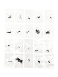 CR18P 2024 Vehicle Screw Set