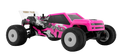Speck-T 1:24 2WD RTR, Brushless, Choose Color