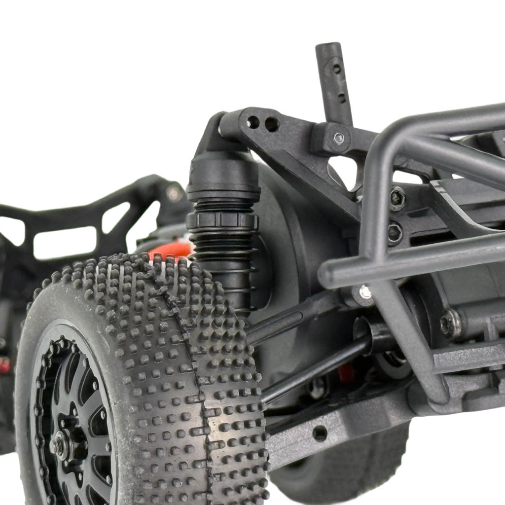 Speck-SCT 1:24 2WD RTR, Brushed, Choose Color