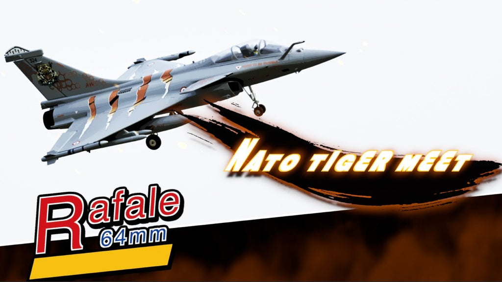 FMS EDF Jet 64mm Rafale with Reflex V3, PNP