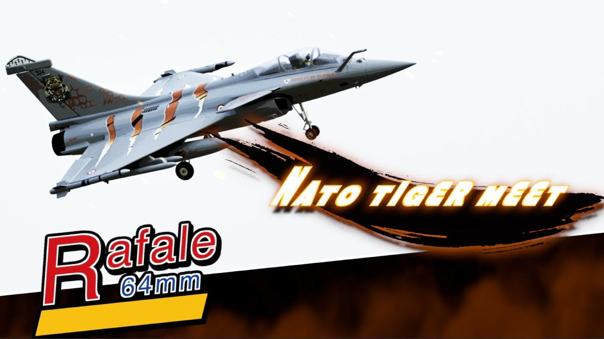 FMS EDF Jet 64mm Rafale with Reflex V3, PNP