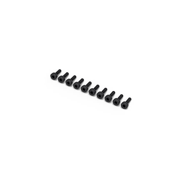 2x6mm Hex Wrench Bolt (10 screws)