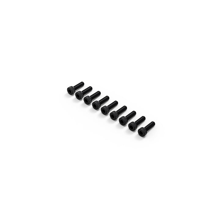 2.5x8mm Hex Wrench Bolt (10 screws)