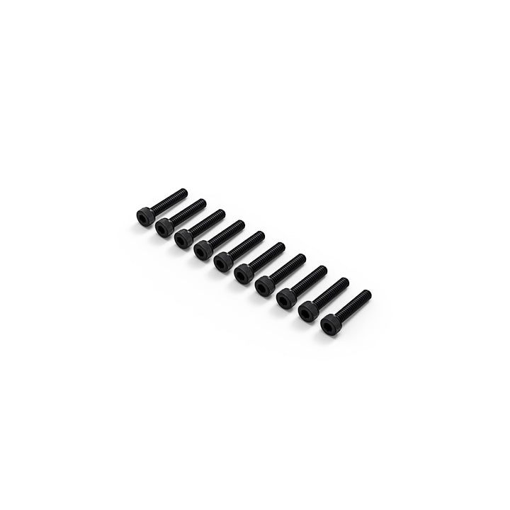 2.5x10mm Hex Wrench Bolt (10 screws)