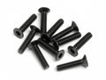 Flat Head Screw, M2.5X12mm, Hexsocket, (10pcs) - HPIZ449