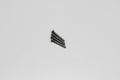 Screw Pin (3X25mm) (4)
