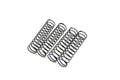 FS R Shock Spring Set (MM/MH/2pcs/Ultima)