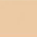 Acrylic Model Paint 1 oz bottle, LRDG Desert Pink