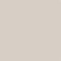 Acrylic Model Paint 1 oz bottle, US Camouflage Grey FS