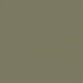 Acrylic Model Paint 1 oz bottle, SAC Bomber Tan FS
