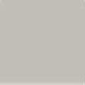 Acrylic Model Paint 1 oz bottle, Light Grey FS 36495