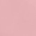 Acrylic Model Paint 1oz Bottle Pink