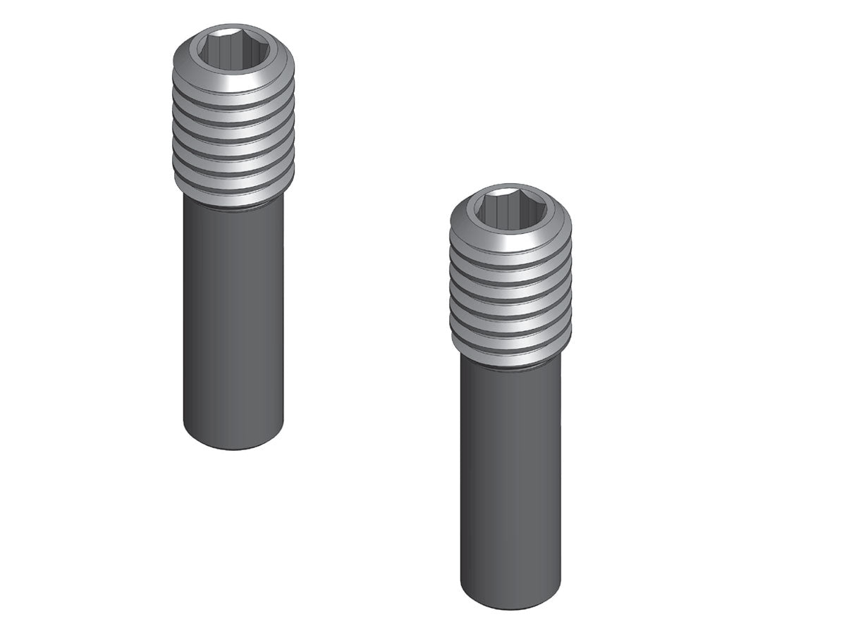SHSS, M3 X .099 Pin Screw (2)