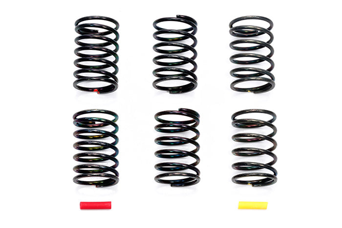 RC Damper Large Diameter Spring Set, TRF