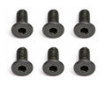 M2.5x0.45x6 FHCS Screw