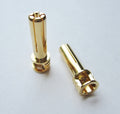 5mm Male Bullets Window Top (pr.) Gold 21mm